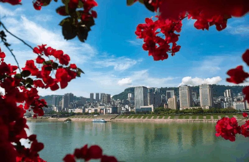 刚刚传来的消息！想在万州买房的赶紧看！