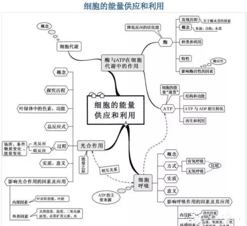 高中生这样进行课后复习比听课都重要，您孩子做到了吗？