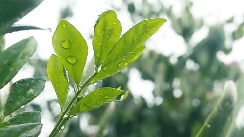 写给即将中考的你：最后一段，愿你稳稳地幸福！